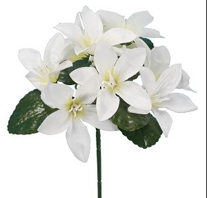 BUISSON LILIUM