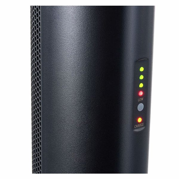 LD Systems Maui 5 Go 100 B