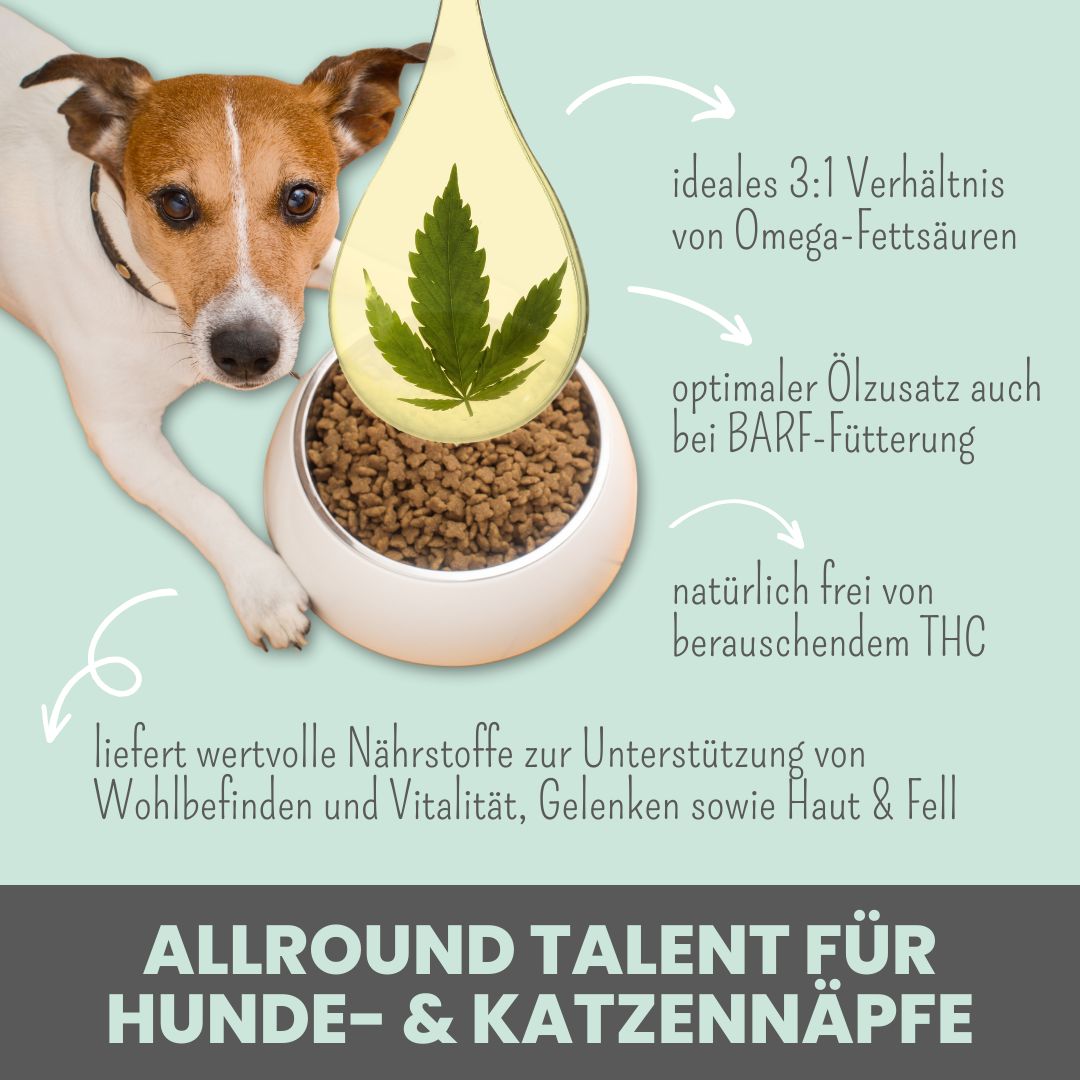 noms+ Kaltgepresstes Hanföl für Hunde & Katzen