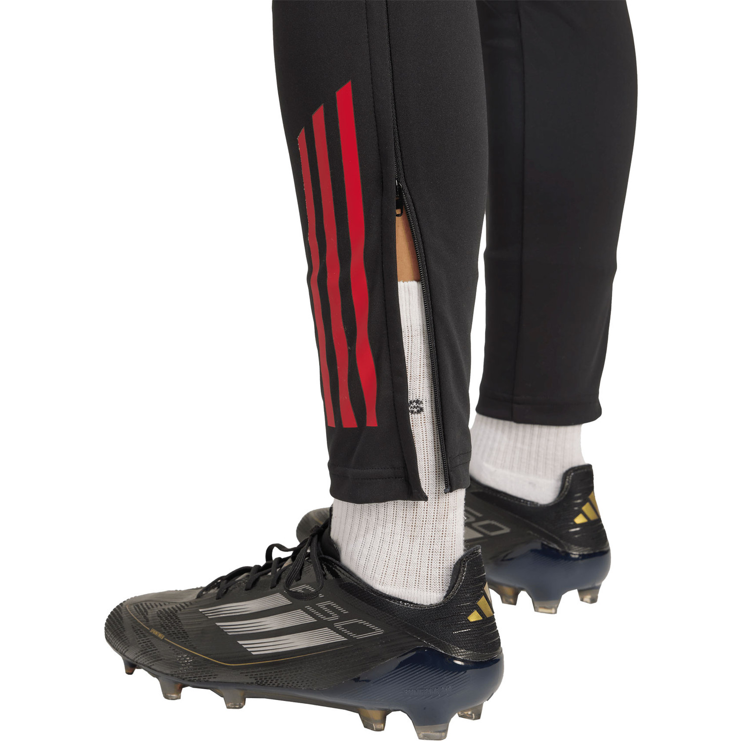 adidas Bayern München Training Pant Dames