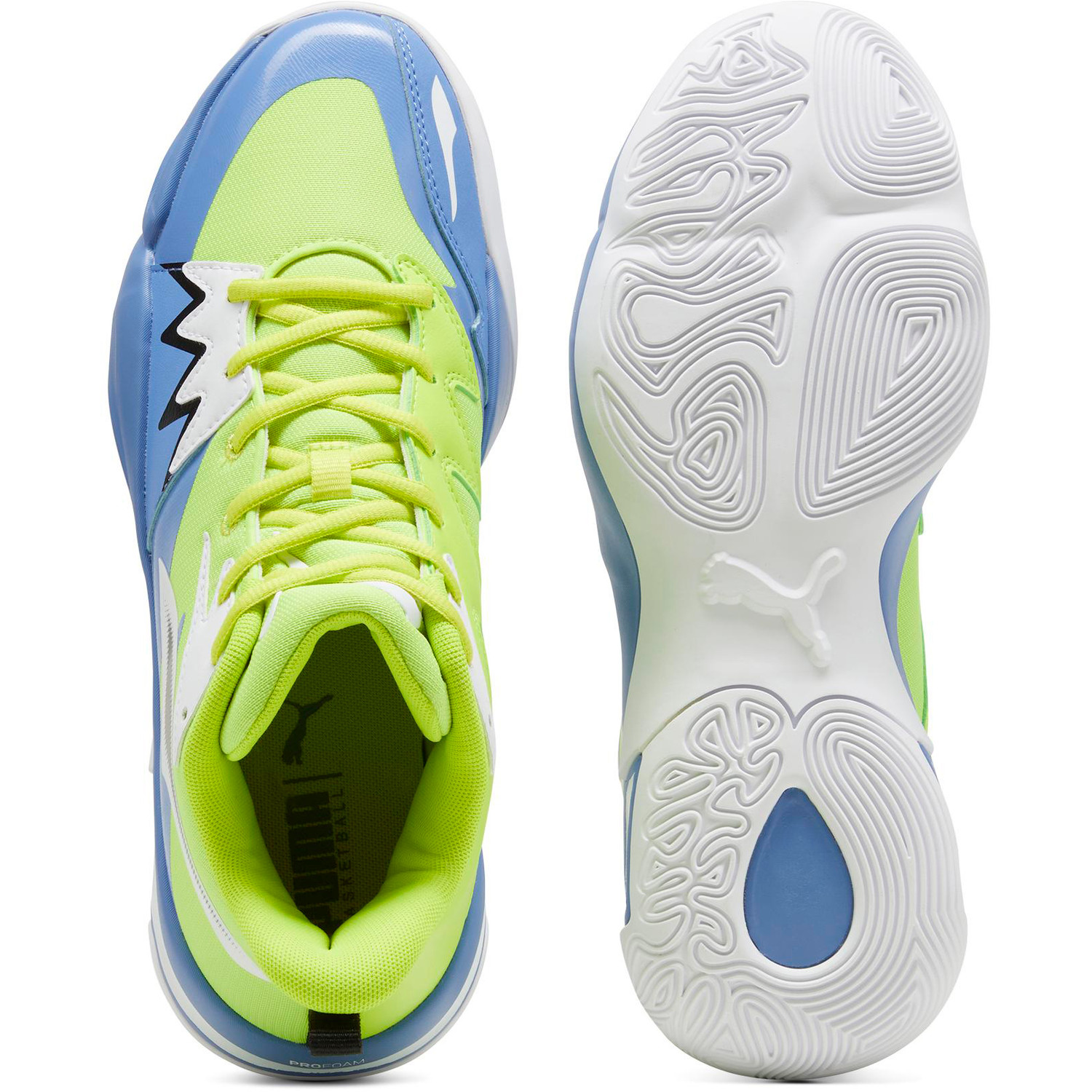 Puma Genetics