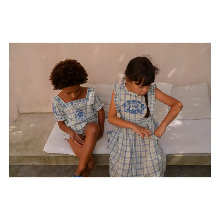 Lali Robe Clover à Carreaux Brodée | Bleu