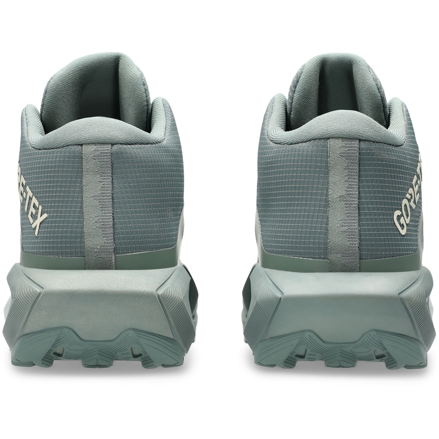 ASICS GEL-Trabuco MT GTX Dames