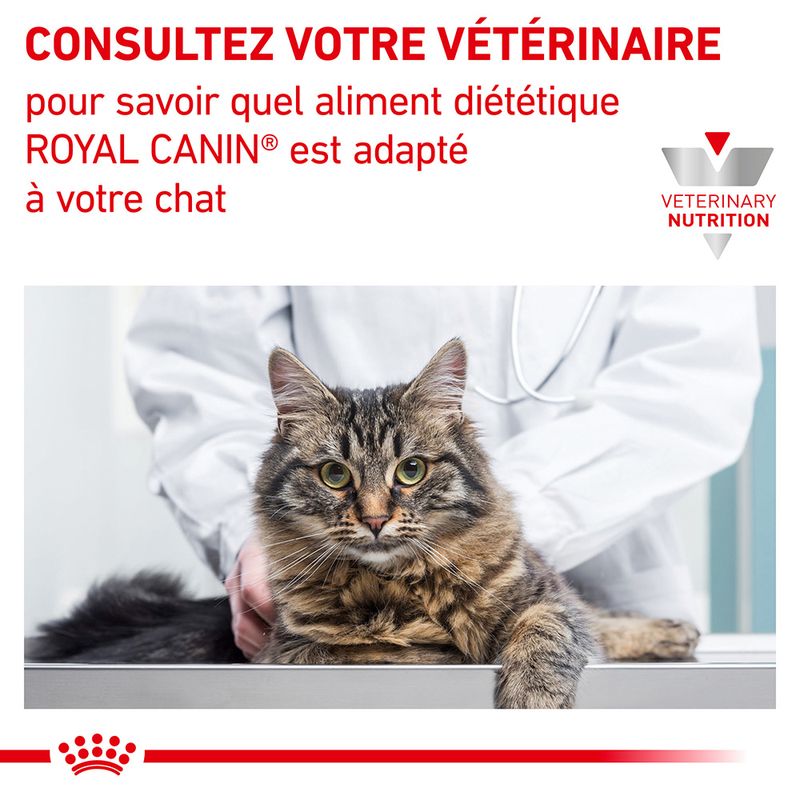 Royal Canin Veterinary Satiety Weight Management en sauce