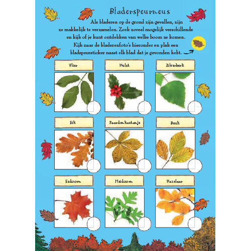 Uitgeverij lemniscaat het gruffalo herfst natuurspeurboek