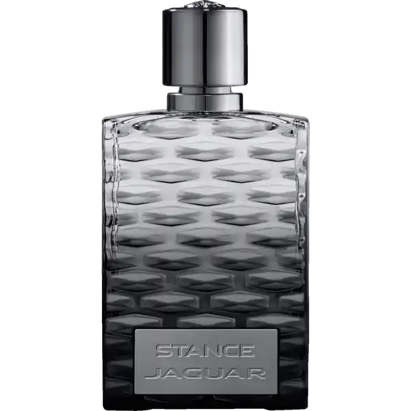 Stance, EdT 100 ml