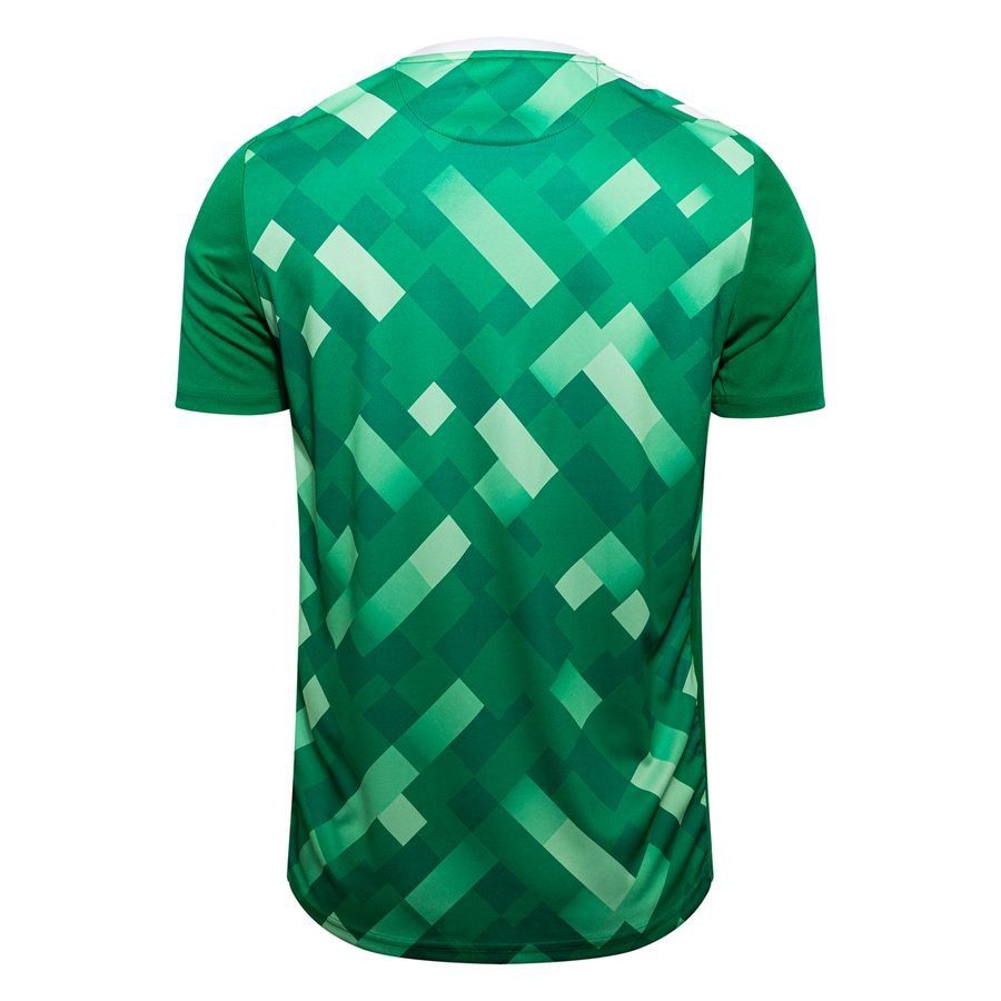 Danemark Maillot de Gardien 2024/25