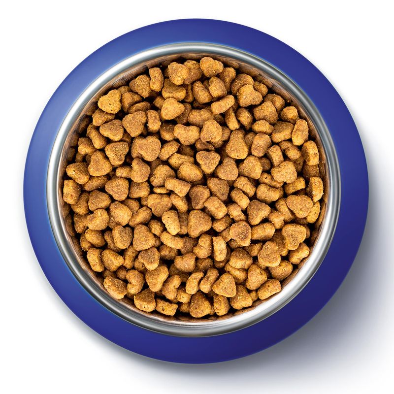 PURINA ONE Adult poisson de mer, céréales complètes