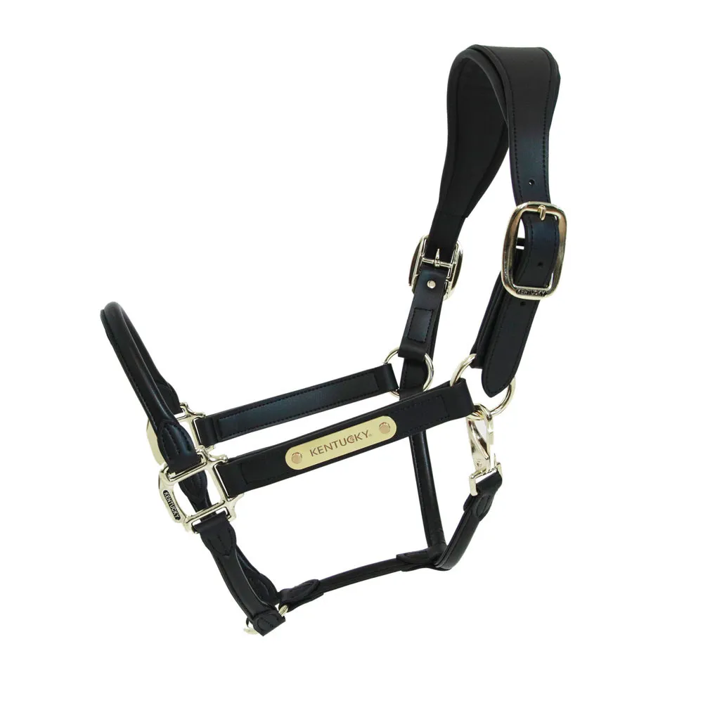 Kentucky ANATOMIQUE CUIR - Licol black