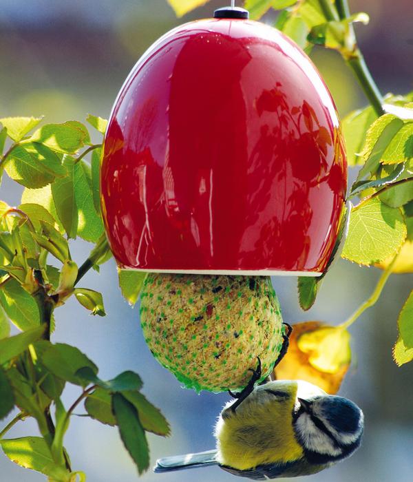 LUXUS-VOGELHAUS Meisenknödelhalter 6er-Set,