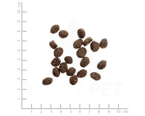 WILDES LAND droogvoer voor katten, rundvlees en eend met groenten uit de tuin en waardevolle superfoods, graanvrij, glutenvrij, 400 g