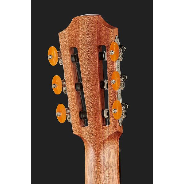 Furch GNc2-CW w/ LR Baggs EAS-VTC Nylon
