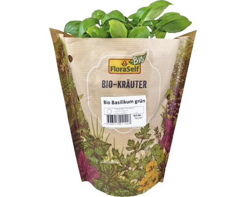 Biologische basilicum FloraSelf Biologische Ocimum basilicum Ø 12 cm pot