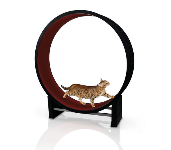 CanadianCat Company® Katzenlaufrad Cat in