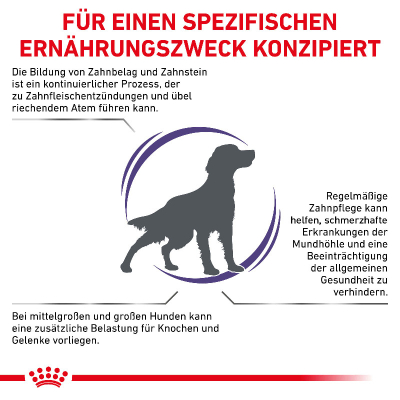 Royal Canin VET Hund Dental 6kg