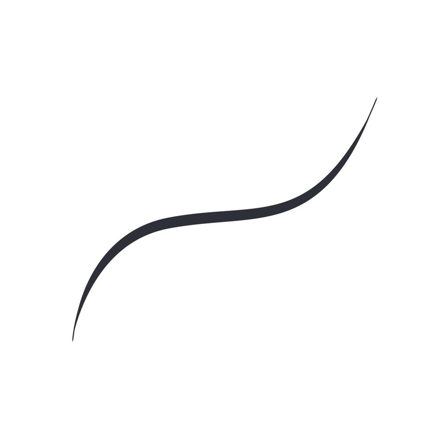 L'Oréal Paris Infaillible Grip 36H Micro-Fine Eyeliner 01 Obsidian Black 0,4g