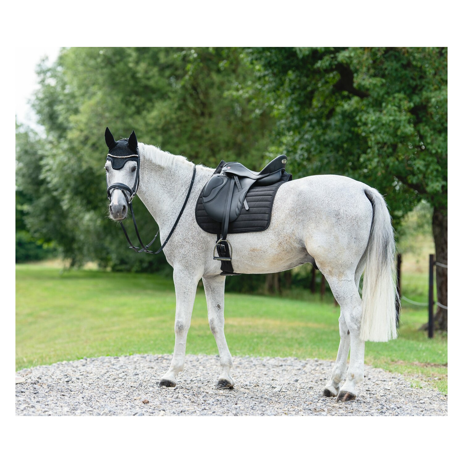 Cheval de Luxe Schabracke Basic Glitter  - black