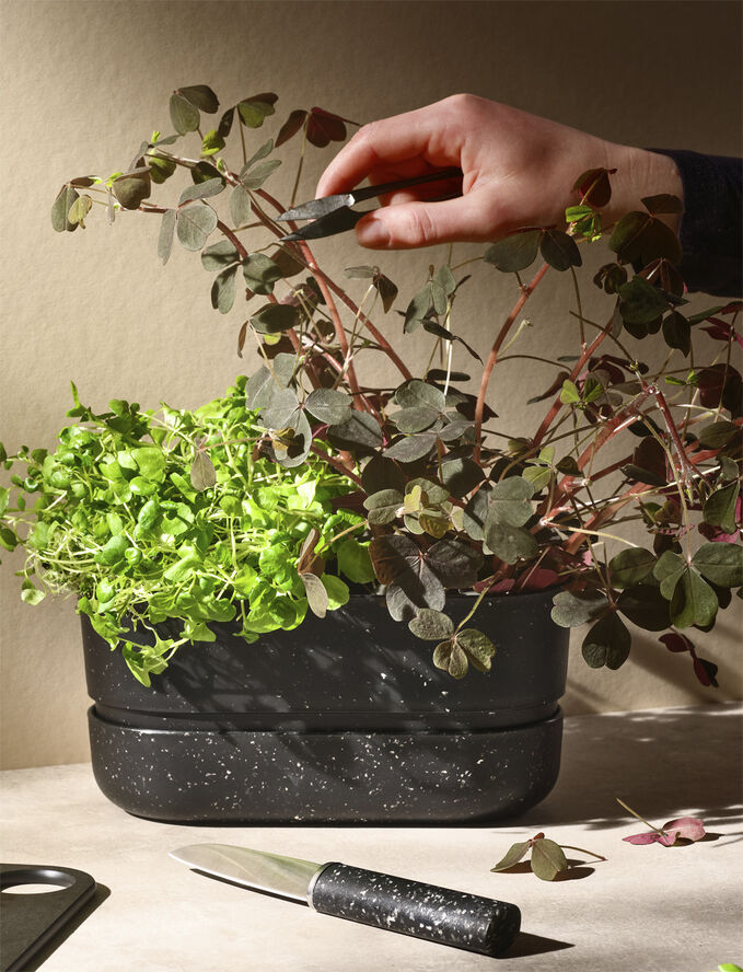 RIG TIG POT-IT urtekasse black Black