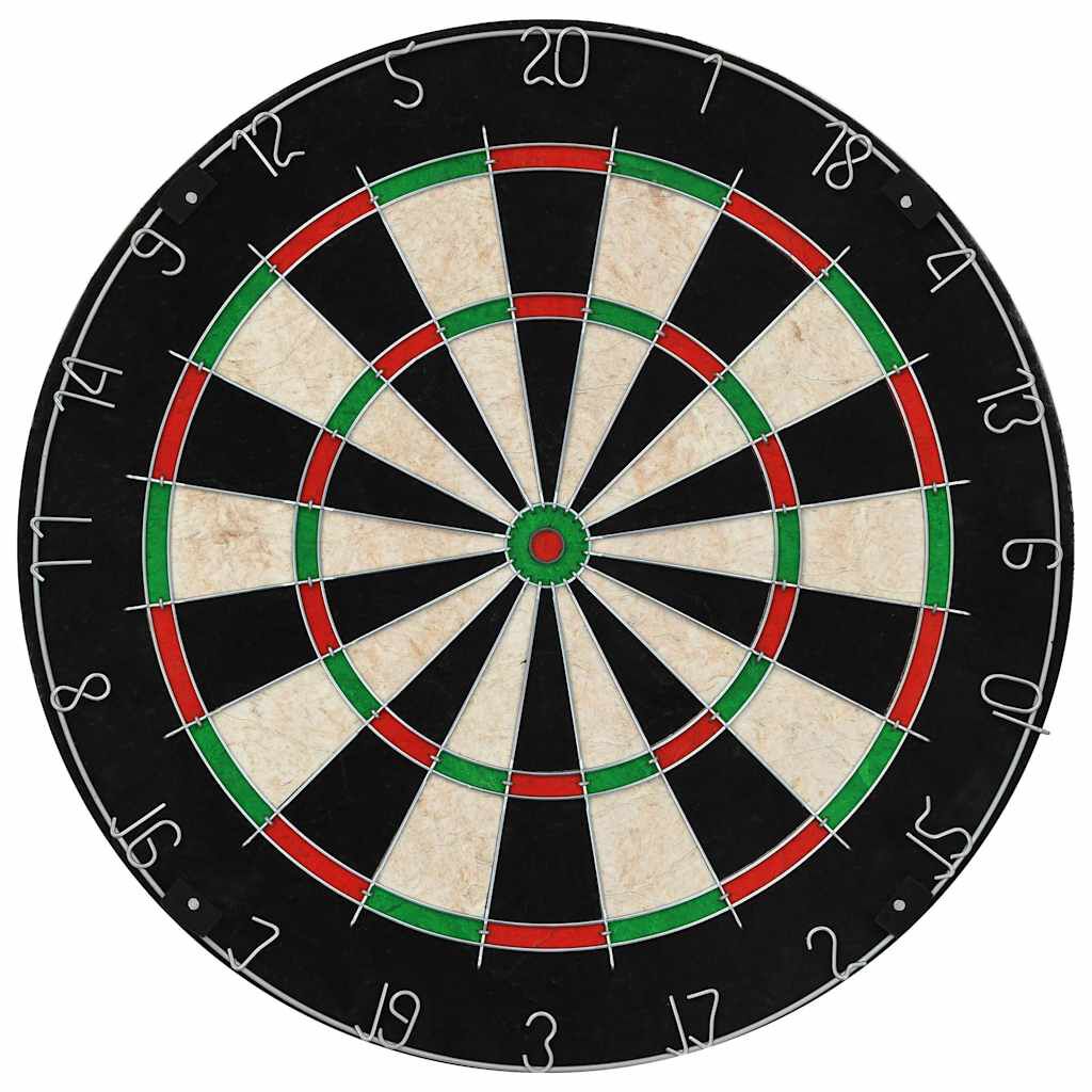 vidaXL Professioneel sisal dartbord met 6 darts en hoes