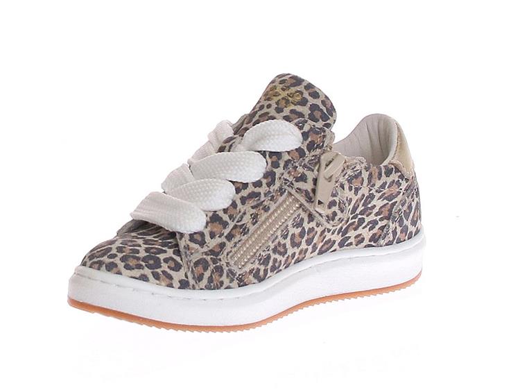 Pinocchio P1811 Beige Combi