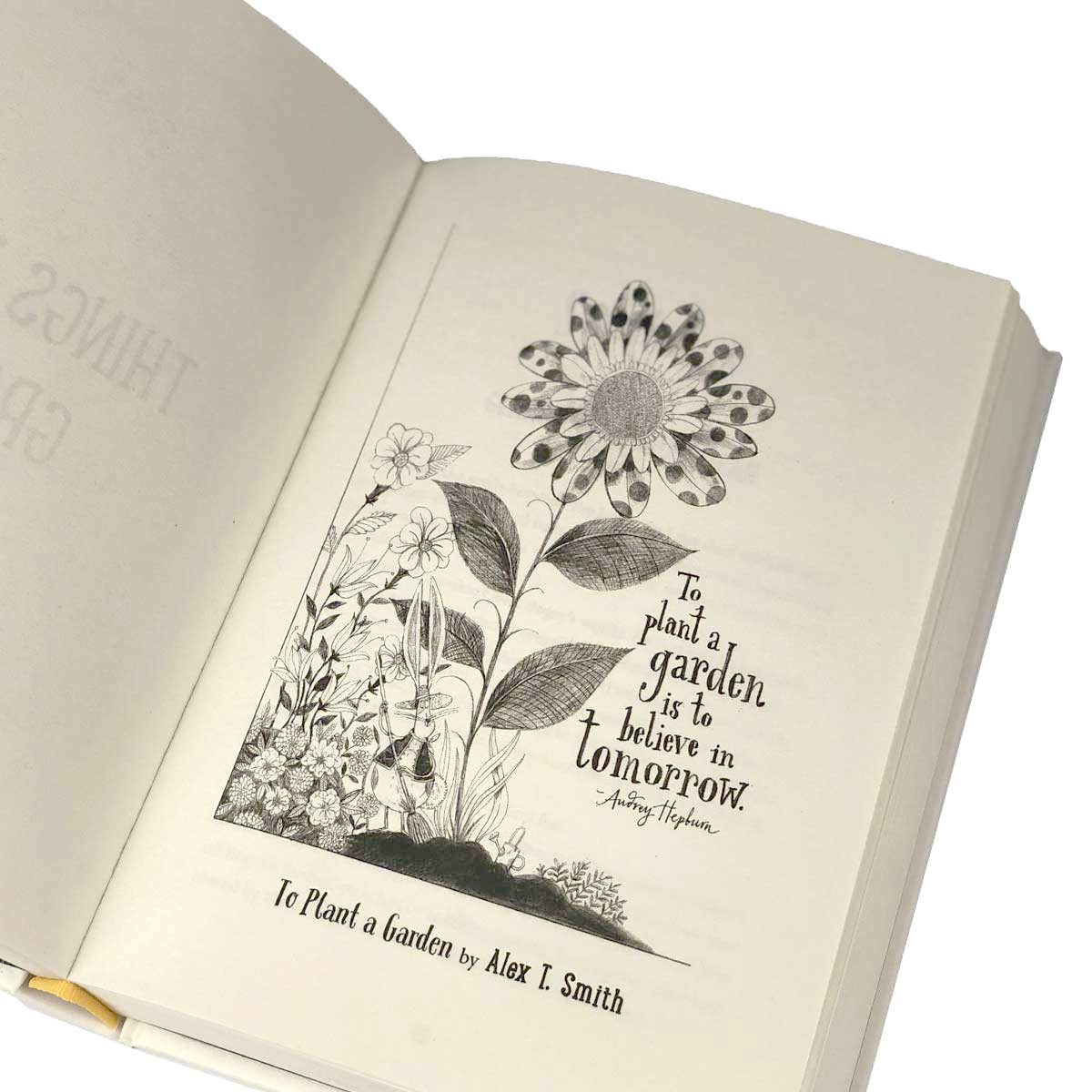 The Book of Hopes: Words and Pictures to Comfort, Inspire and Entertain (Hardback)