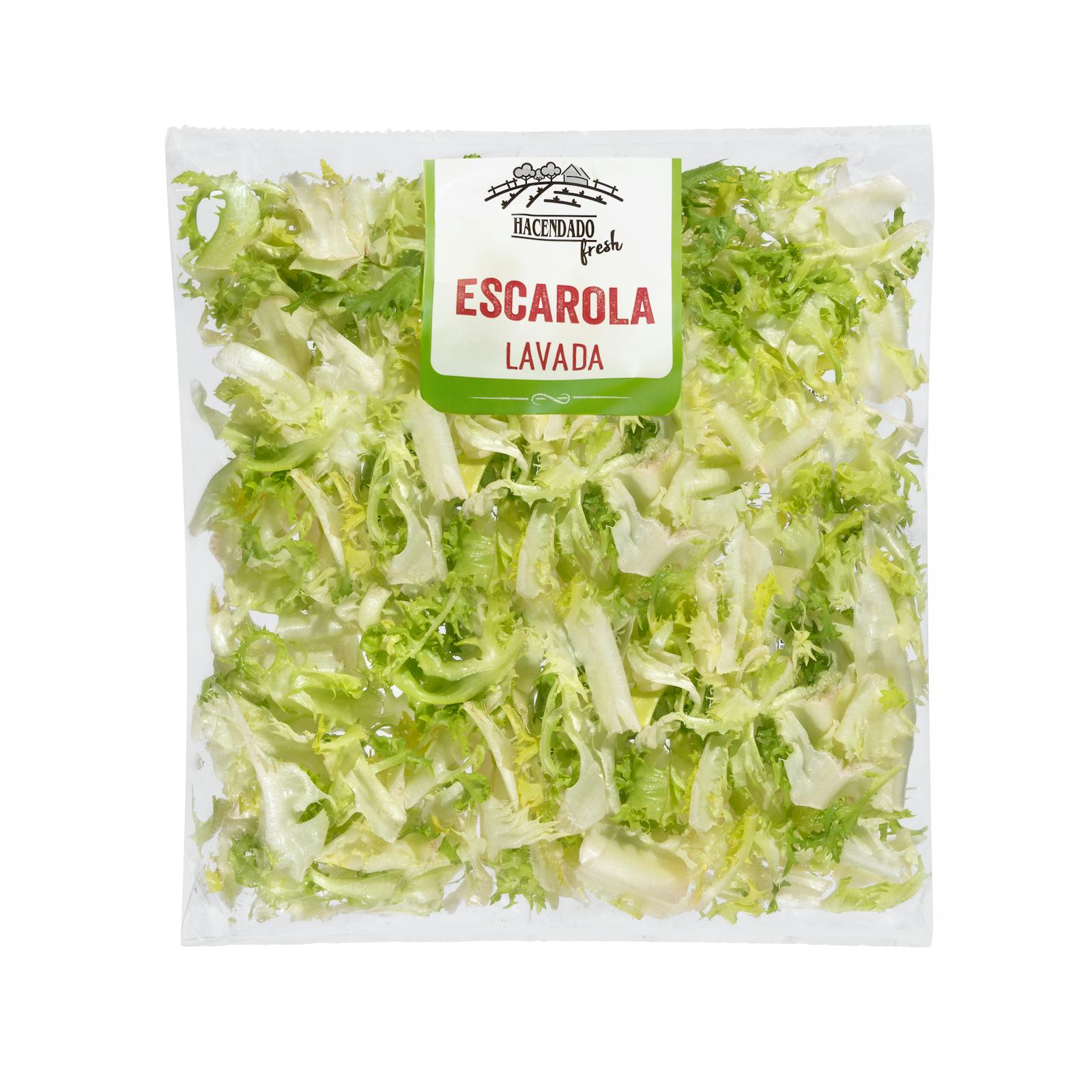 Chicorée frisée, coupée et lavée