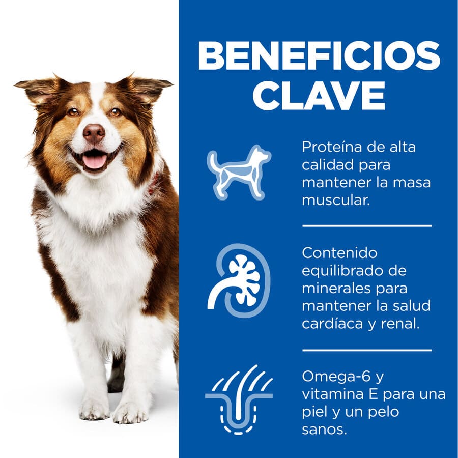 Ração Hill's Science Plan para cães adultos de porte médio com sabor de frango