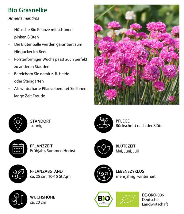 Bio Stauden-Set Großer Alpengarten, 24-teilig