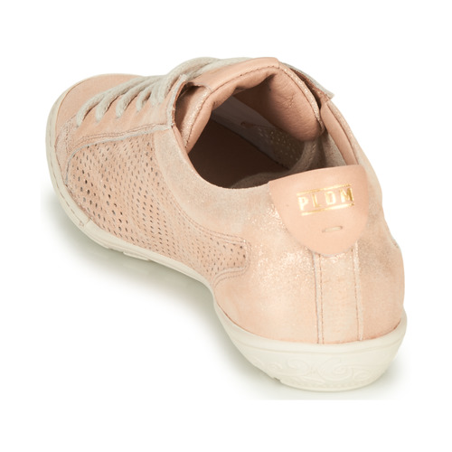 Palladium - GRACIEUSE ALX - Rose