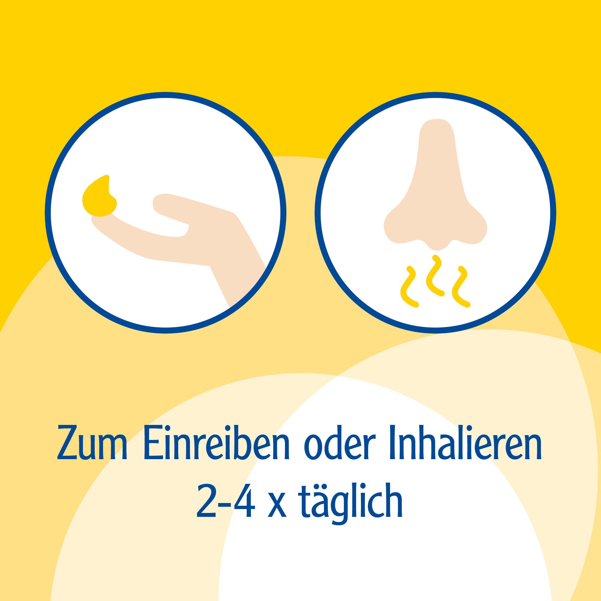 Pinimenthol® Erkältungssalbe ab 12 Jahren - mit Eucalyptusöl, Kiefernnadelöl und Menthol