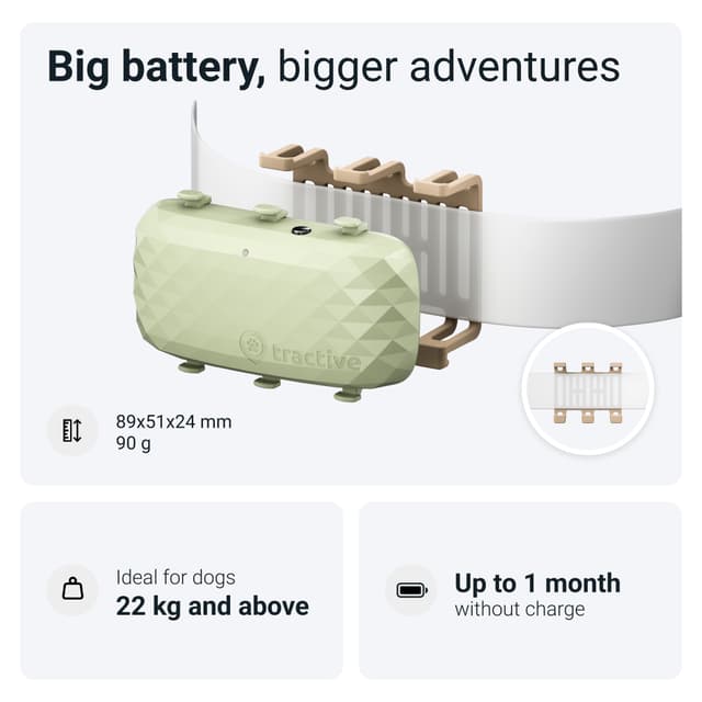 Tractive DOG XL GPS tracker til hund (grøn)