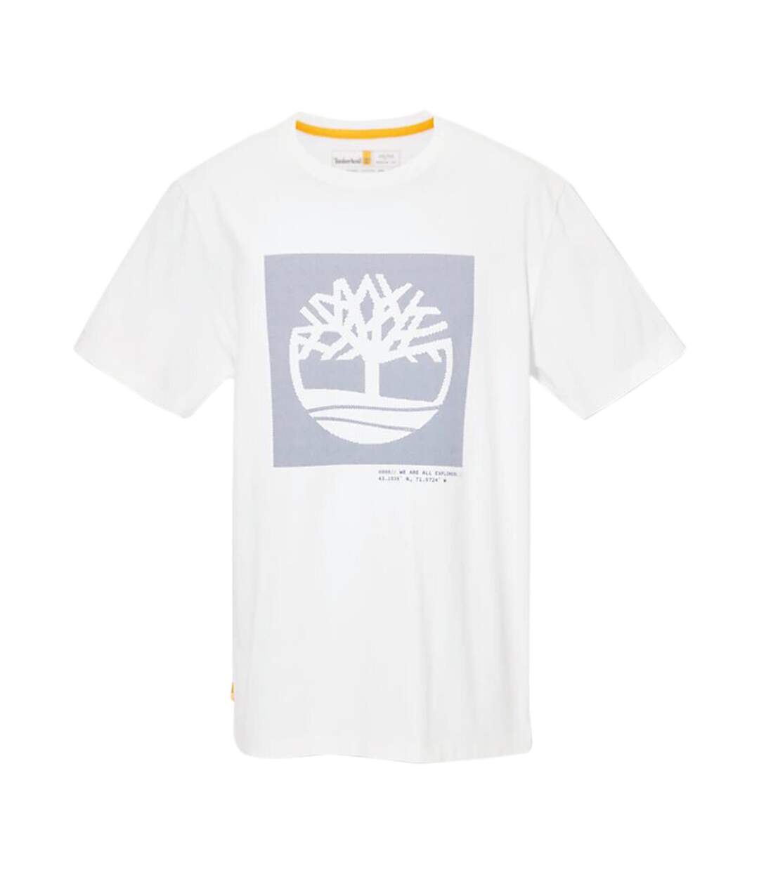 Tee Shirt Timberland SS Graphic
