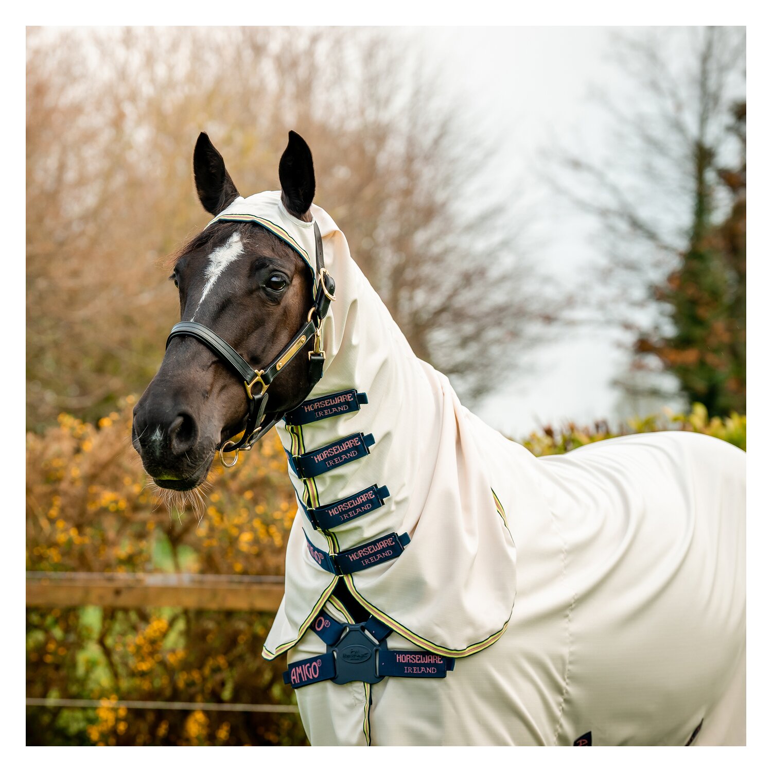HORSEWARE Fliegendecke AMIGO Ripstop Hoody  - chalk/navy/rose