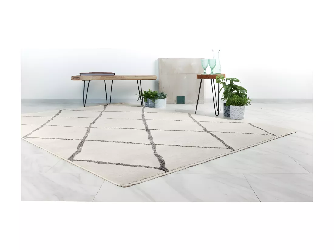 Tapis 290x200cm, design A105R coloris Ivoire - Confort et élégance pour votre intérieur