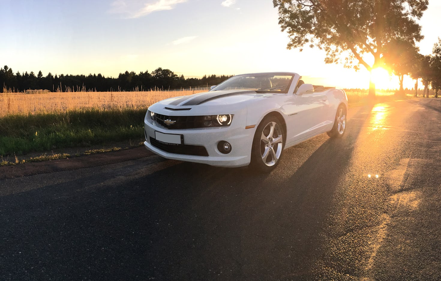 Camaro fahren Thale