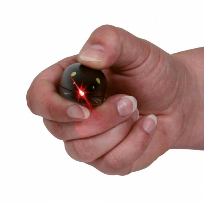Pointeur Laser Catch the Light Trixie pour chats