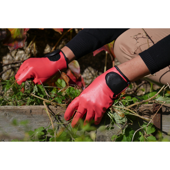 Gants Femme Rose Pasteque Maxima T8