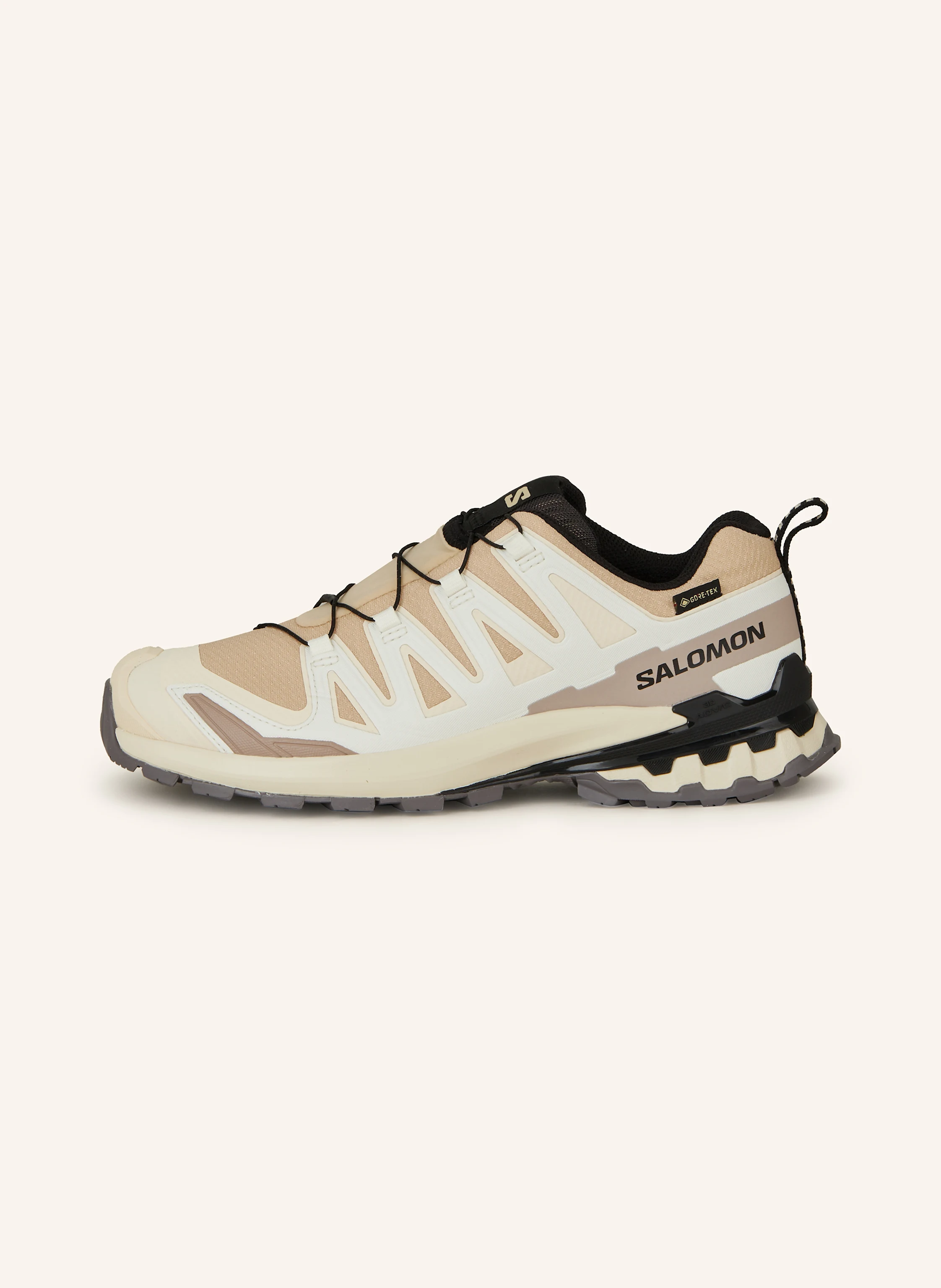 SALOMON Wanderschuhe XA PRO 3D V9 GTX