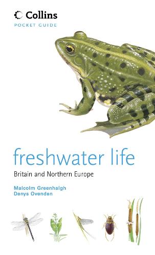 Freshwater Life - Collins Pocket Guide (Paperback)
