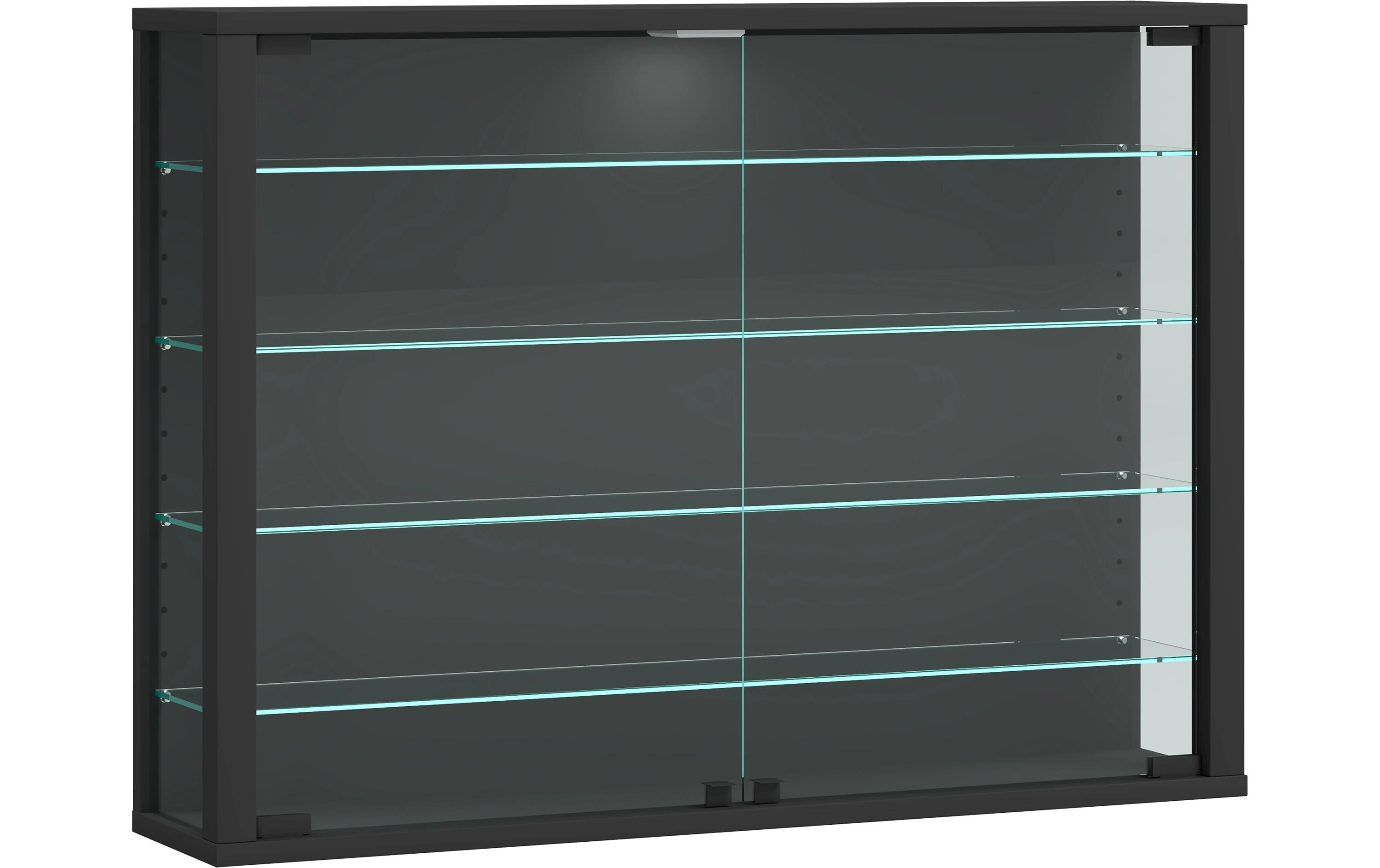 Vitrine Vitrosa L 82.6 x 59.9 cm, Anthrazit<br>Hängevitrine für die Wandmontage