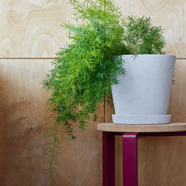 HAY - Blumentopf mit Untersetzer XL, schwarz