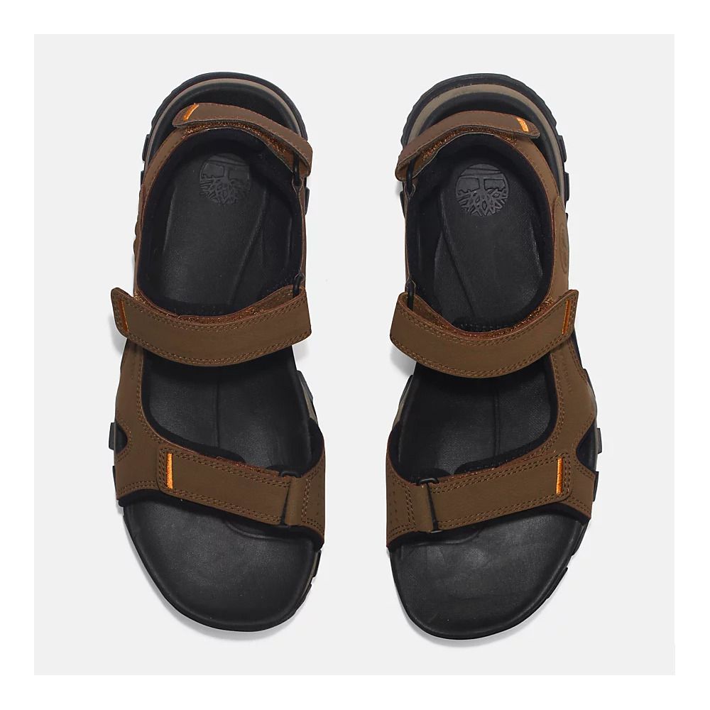 Timberland LINCOLN PEAK - Sandales Homme dark brown leather
