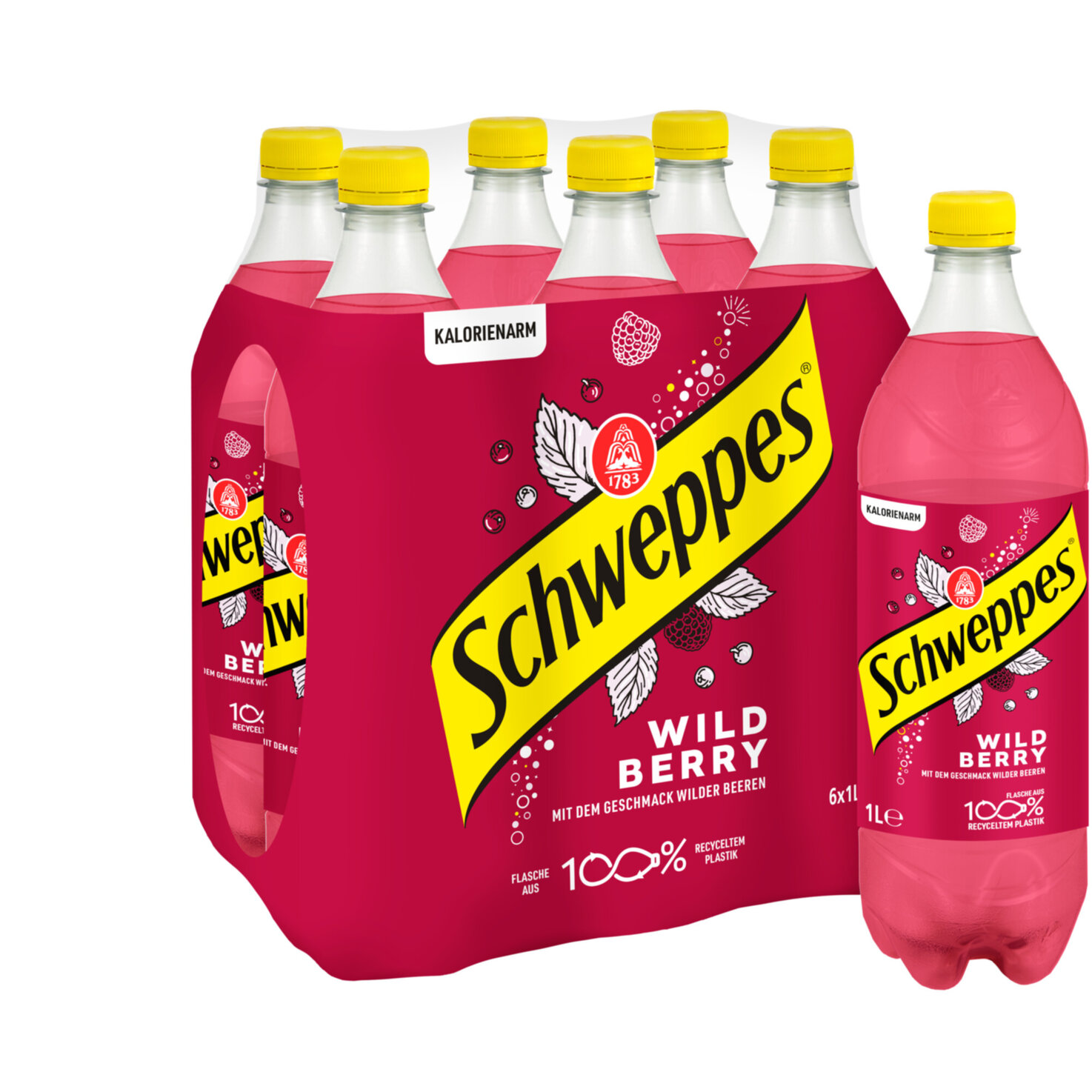 Schweppes Wild Berry 6x1l