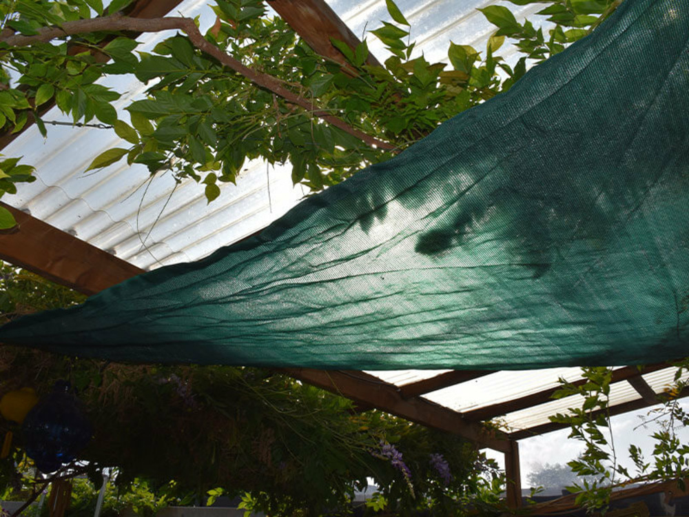 Voile d'ombrage - vert - forme triangle - 185g/m² vert/noir 2.5 x 2.5 x 3.5