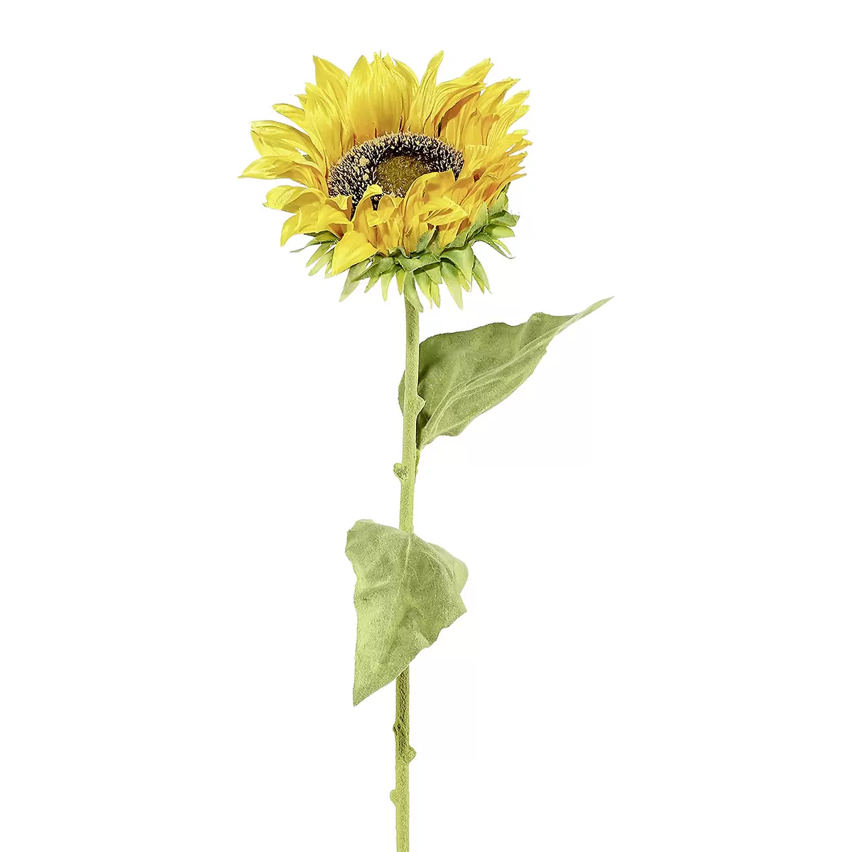 Kusntblume Sonnenblume Mia gelb,grün