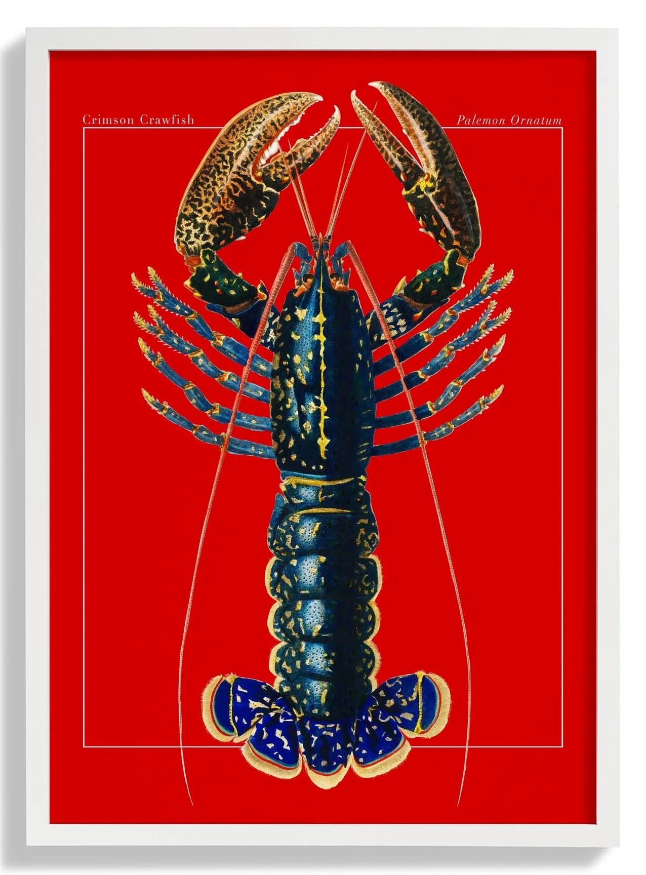 Red Lobster