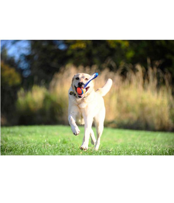 Chuckit!® Hundespielzeug Ultra Tug mit