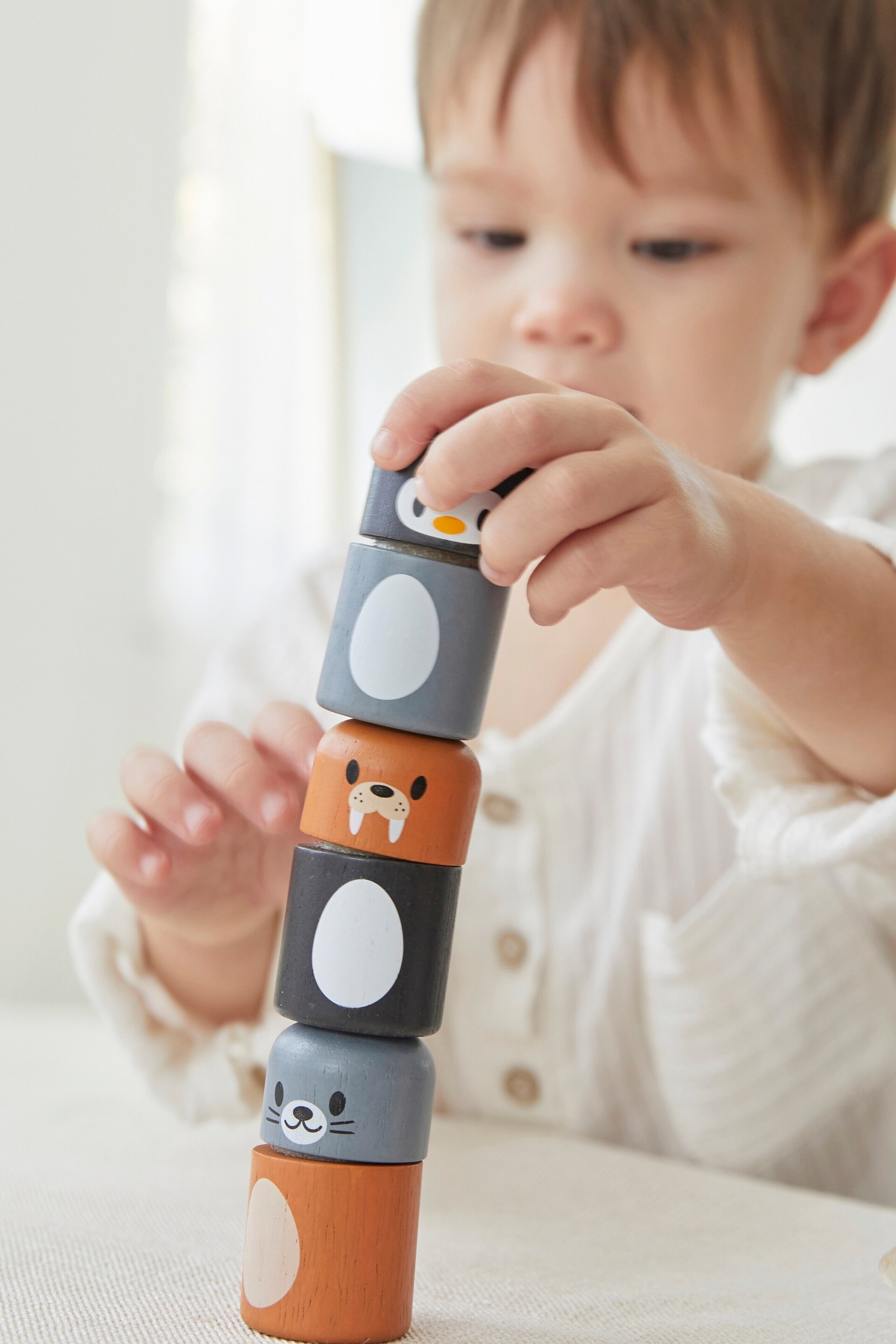 PlanToys Polartiere sortieren