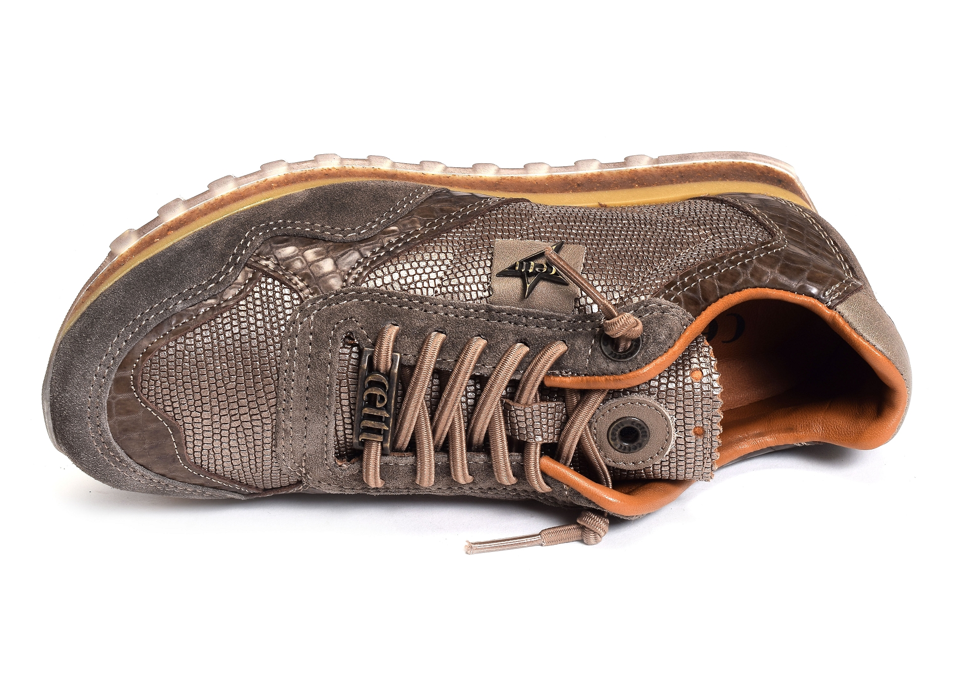 C848 w bronze