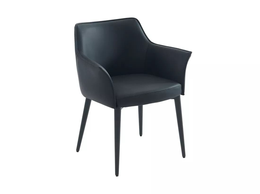 Lot de 2 chaises avec accoudoirs en simili et métal - Noir - MIALOV